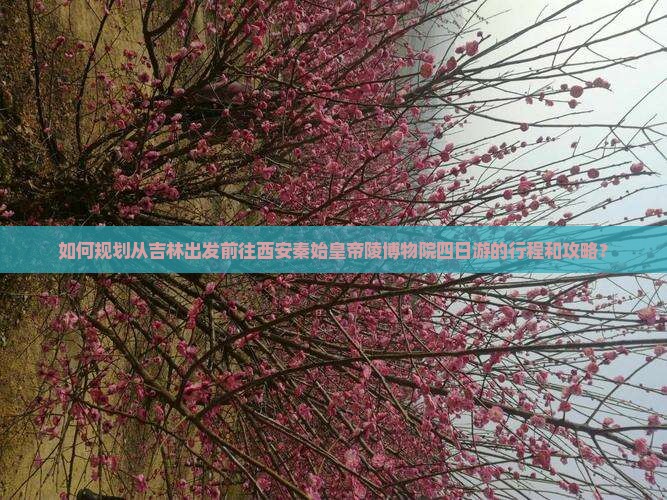 如何规划从吉林出发前往西安秦始皇帝陵博物院四日游的行程和攻略？