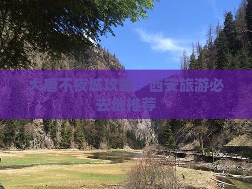 大唐不夜城攻略：西安旅游必去地推荐