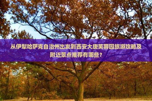 从伊犁哈萨克自治州出发到西安大唐芙蓉园旅游攻略及附近景点推荐有哪些？