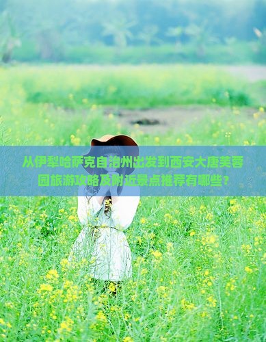 从伊犁哈萨克自治州出发到西安大唐芙蓉园旅游攻略及附近景点推荐有哪些？