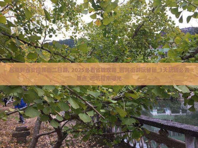 吕梁到西安回民街二日游