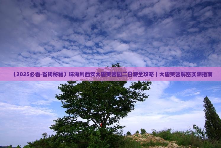 珠海到西安大唐芙蓉园二日游