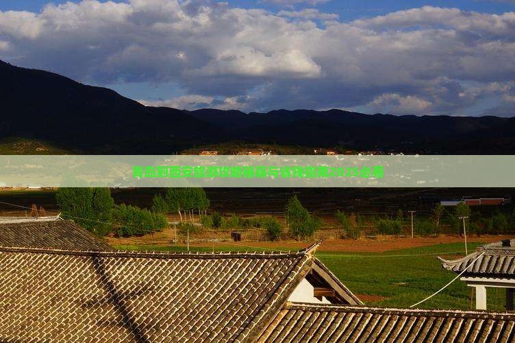 青岛到西安陕西历史博物馆自由团