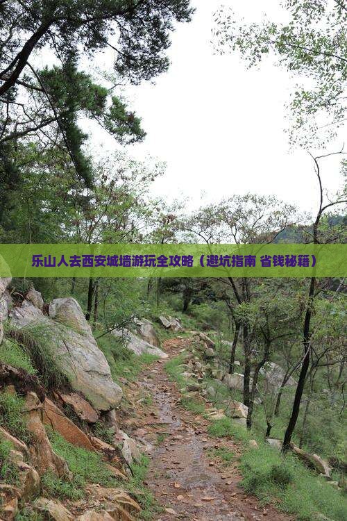 乐山去西安城墙景点