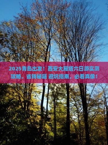 青岛到西安大雁塔六日游
