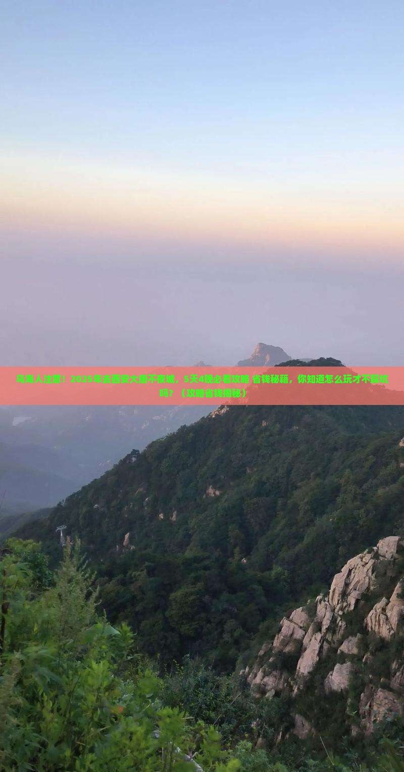 乌海到西安大唐不夜城大型旅游团