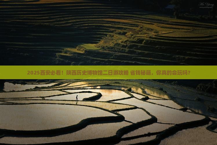 五月到西安陕西历史博物馆二日游