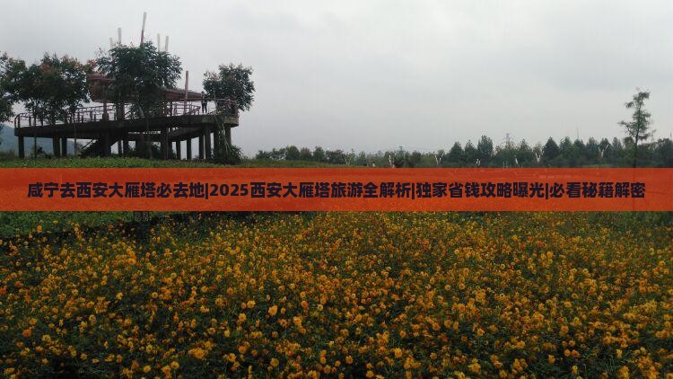 咸宁去西安大雁塔必去地