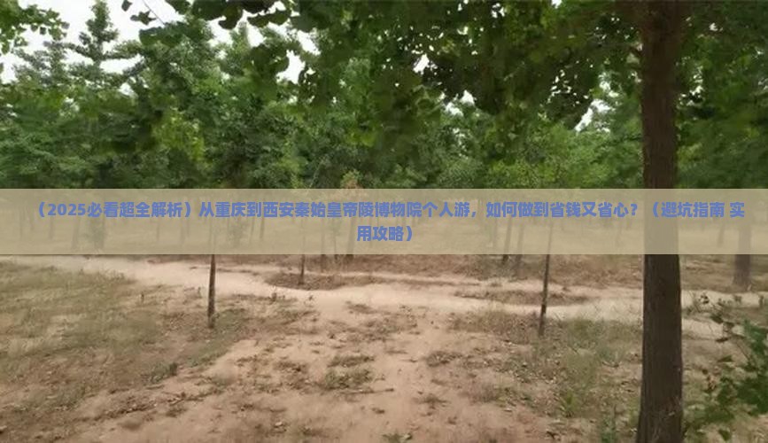 重庆到西安秦始皇帝陵博物院个人游