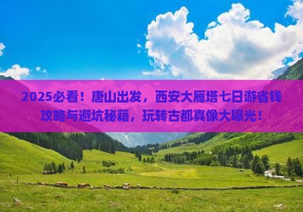 唐山去西安大雁塔七日游