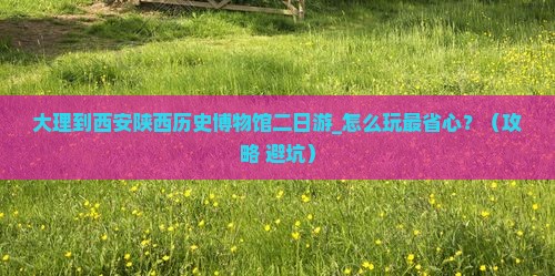 大理到西安陕西历史博物馆二日游