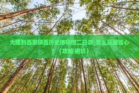大理到西安陕西历史博物馆二日游