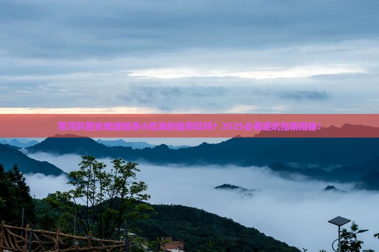 黑河到西安城墙旅游小吃