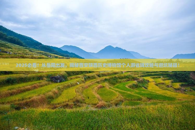 岳阳去西安陕西历史博物馆个人游
