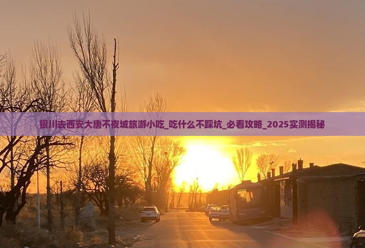 银川去西安大唐不夜城旅游小吃