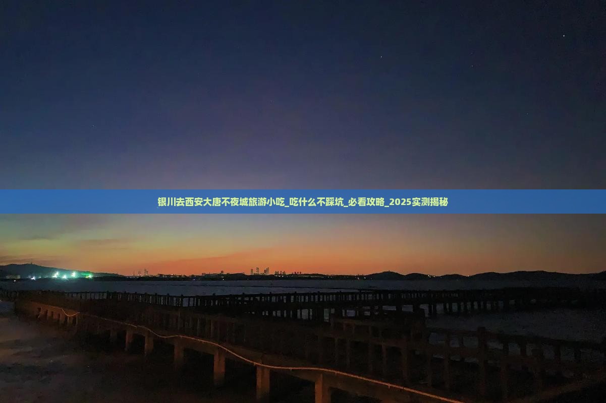 银川去西安大唐不夜城旅游小吃
