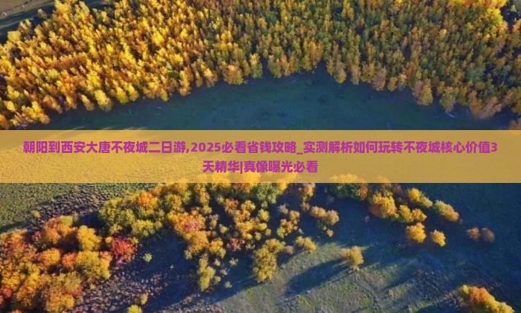 朝阳到西安大唐不夜城二日游