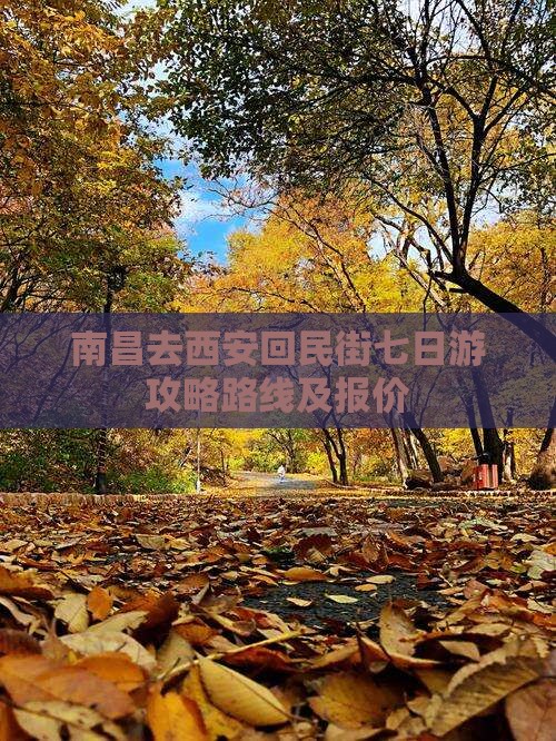 南昌去西安回民街七日游