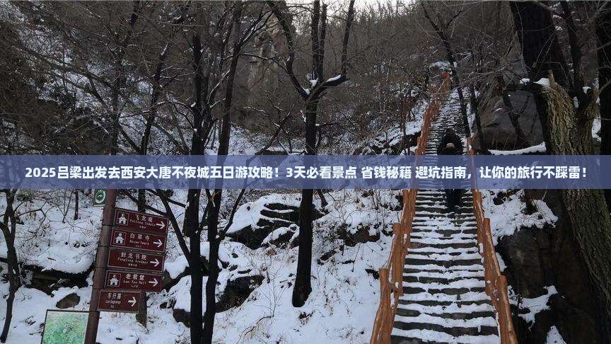 吕梁去西安大唐不夜城五日游