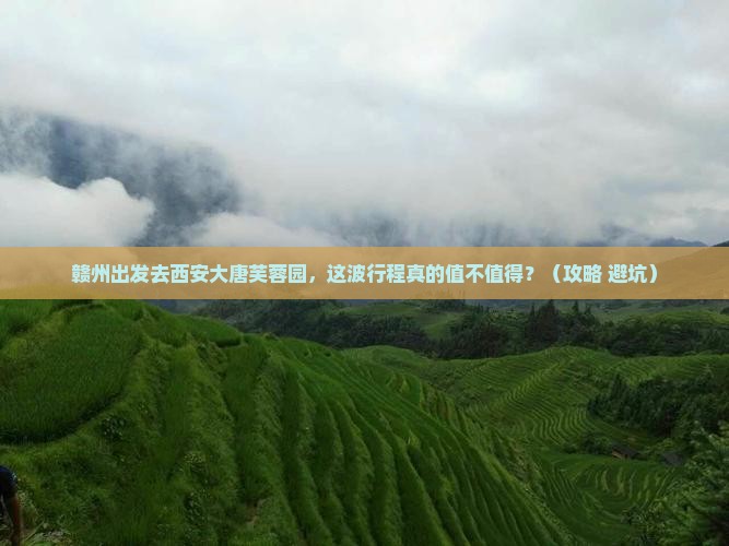 赣州到西安大唐芙蓉园旅游