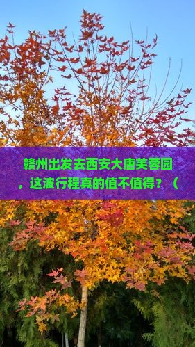 赣州到西安大唐芙蓉园旅游