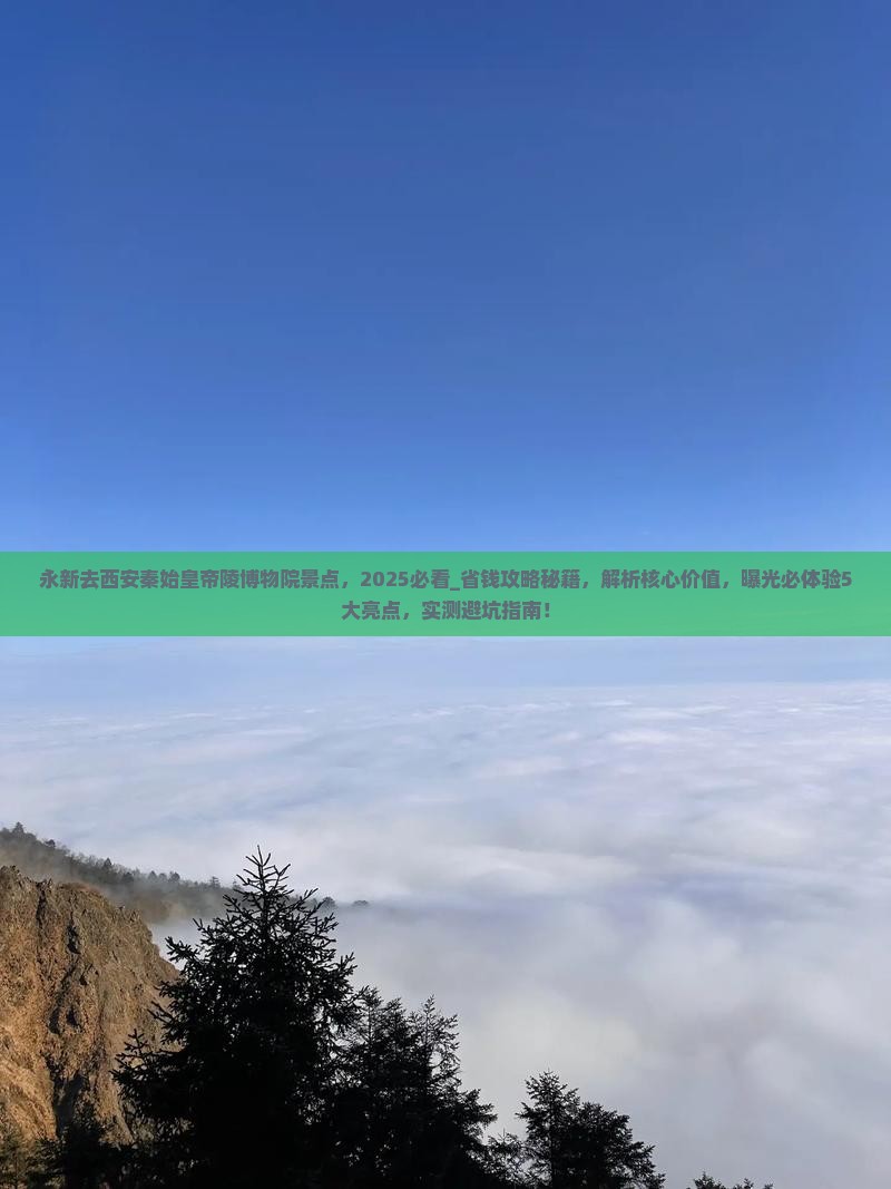 永新去西安秦始皇帝陵博物院景点