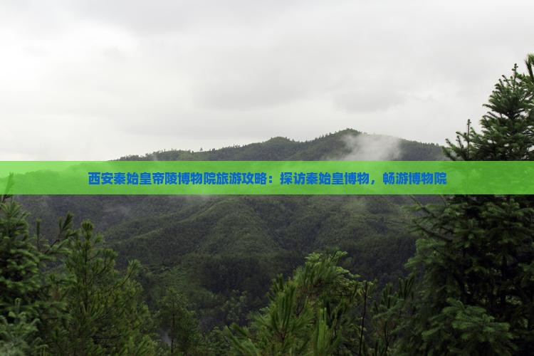 四平去西安秦始皇帝陵博物院旅游