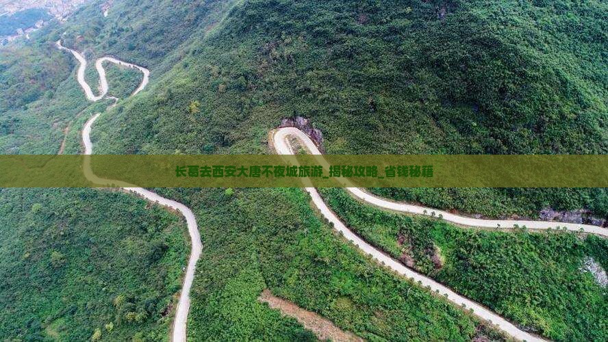 长葛去西安大唐不夜城旅游