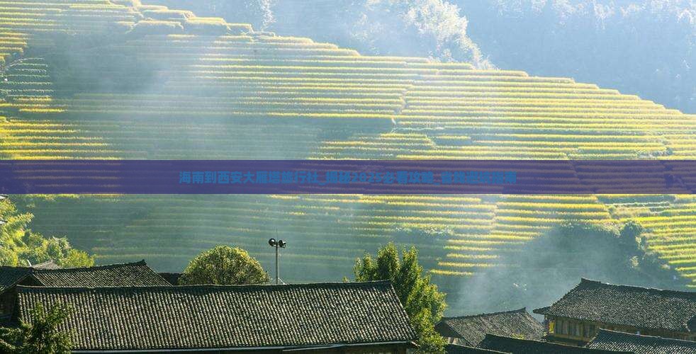 海南到西安大雁塔旅行社