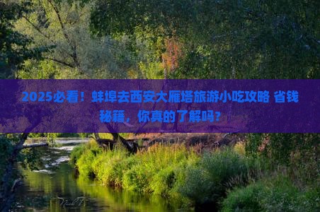 蚌埠去西安大雁塔旅游小吃
