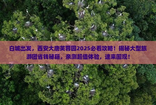 白城去西安大唐芙蓉园大型旅游团
