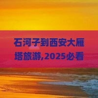 石河子到西安大雁塔旅游