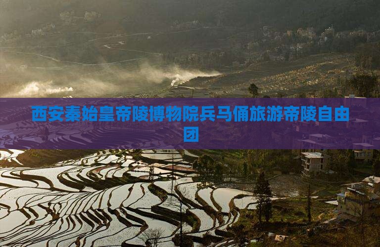 朝阳到西安秦始皇帝陵博物院自由团