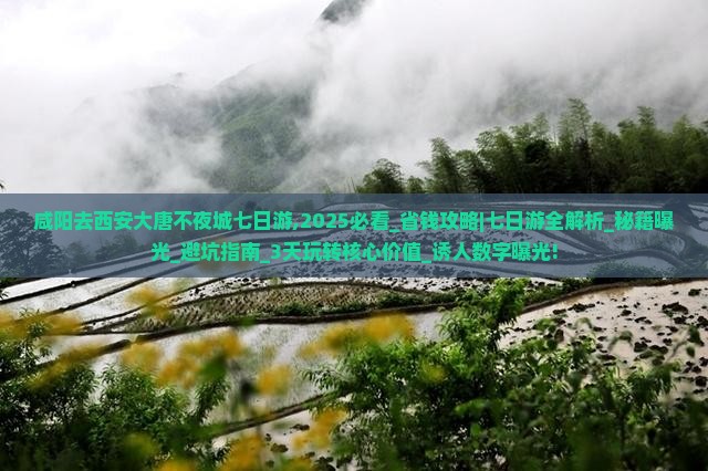 咸阳去西安大唐不夜城七日游 咸阳去西安大唐不夜城七日游