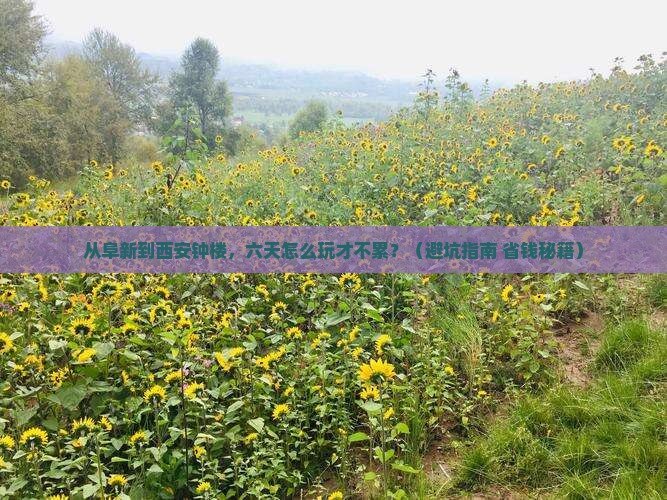 阜新去西安钟楼六日游