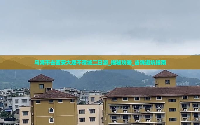 乌海市去西安大唐不夜城二日游