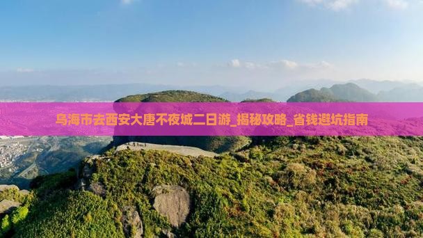 乌海市去西安大唐不夜城二日游