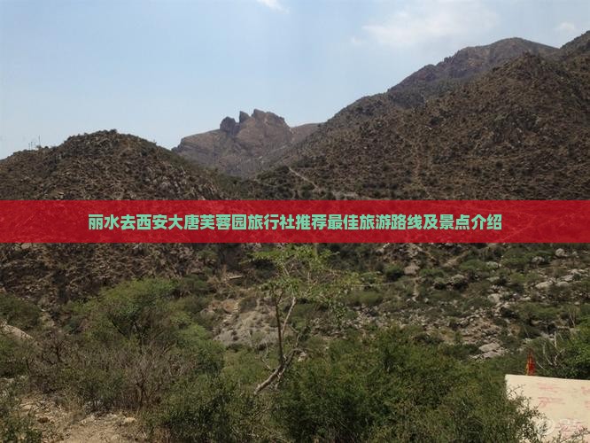 丽水去西安大唐芙蓉园旅行社