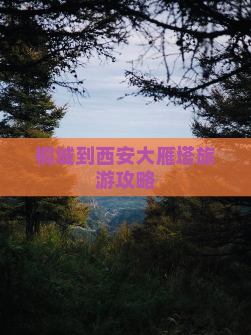 桐城到西安大雁塔团体旅游