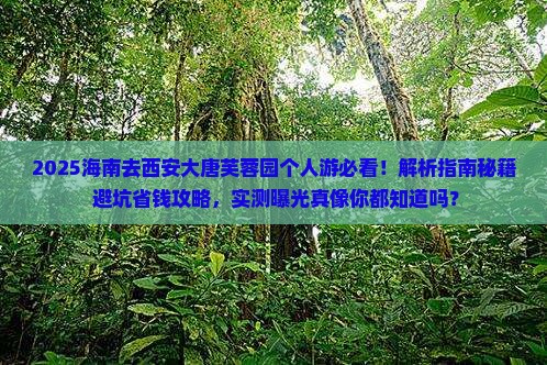 海南去西安大唐芙蓉园个人游