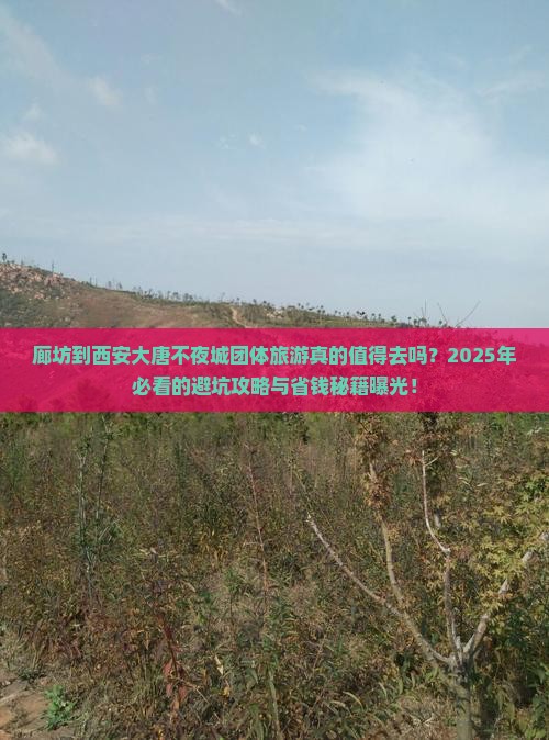 廊坊到西安大唐不夜城团体旅游
