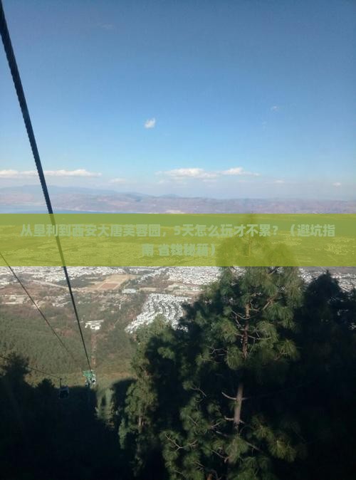 垦利到西安大唐芙蓉园五日游