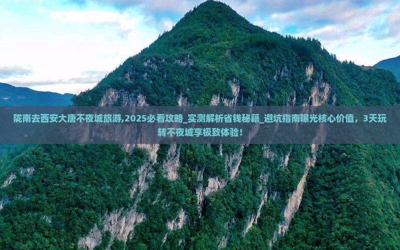 陇南去西安大唐不夜城旅游