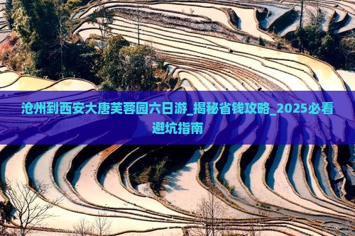 沧州到西安大唐芙蓉园六日游