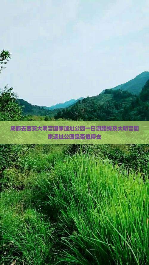 成都去西安大明宫国家遗址公园一日游