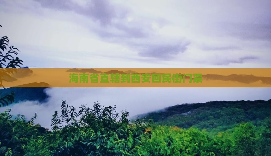 海南省直辖到西安回民街门票