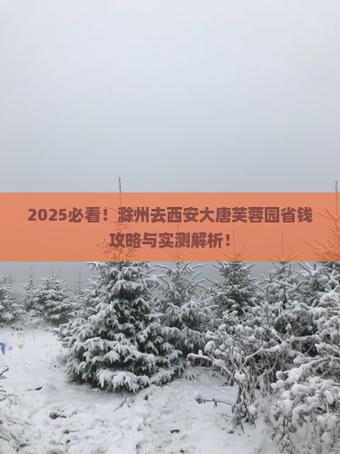 滁州去西安大唐芙蓉园攻略