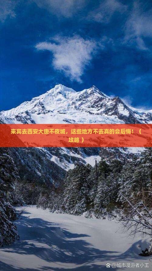 来宾到西安大唐不夜城必去地