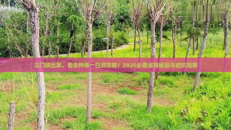 三门峡去西安钟楼旅行社