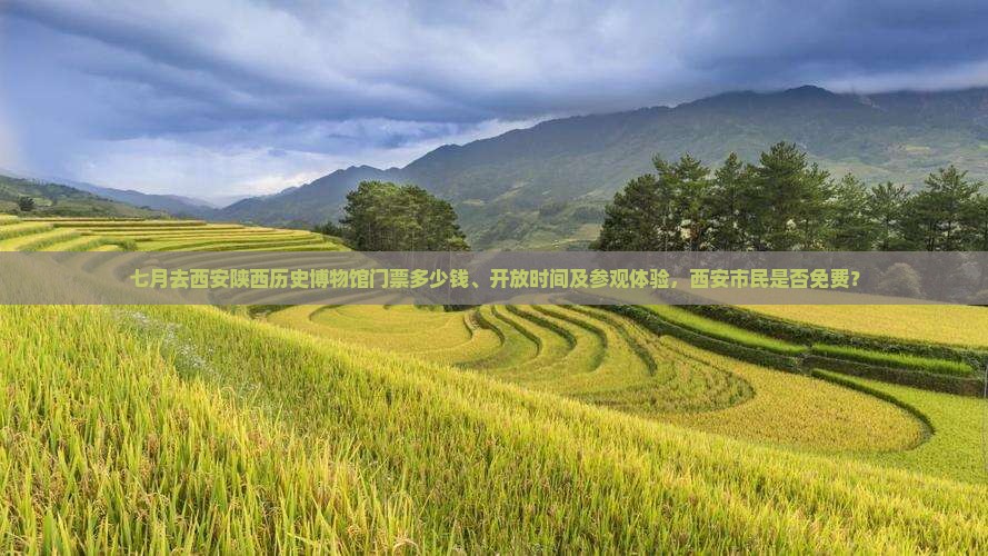 七月去西安陕西历史博物馆门票